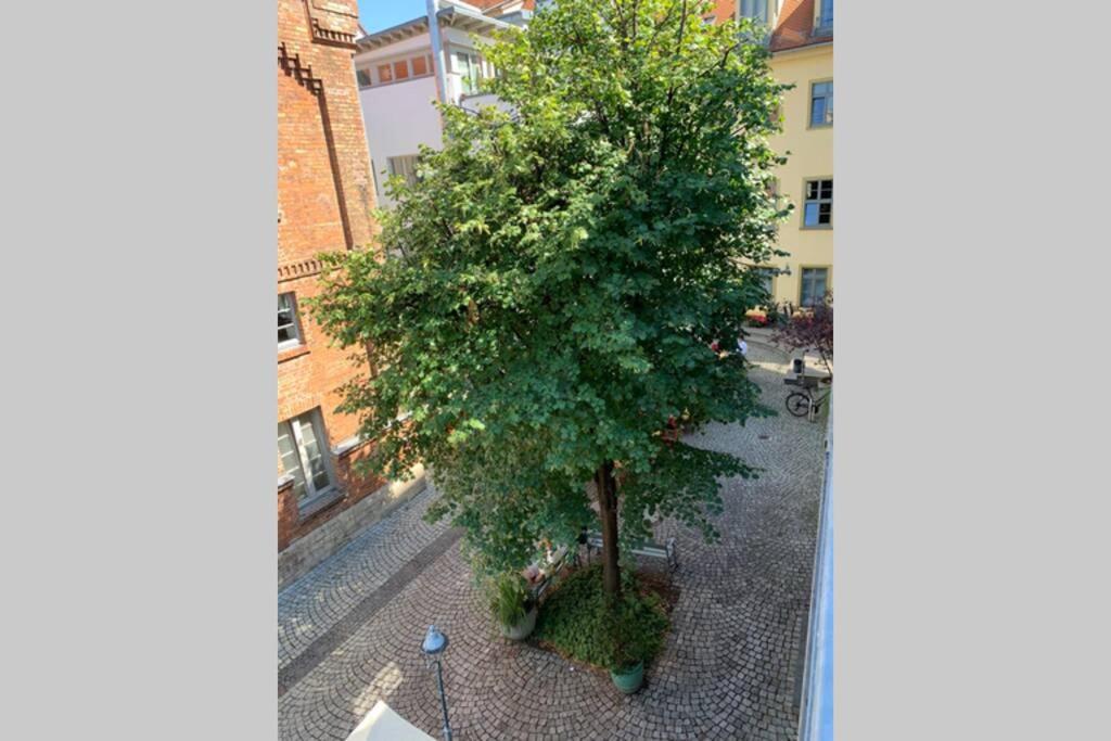 Altstadt, Fewo Im Markthof Am Dom Erfurt Extérieur photo